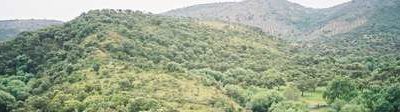 Monte de la Sierrezuela