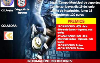 LIGA LOCAL DE FÚTBOL 7 (2014)