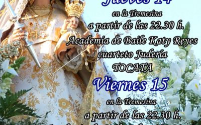 VIRGEN DE AGOSTO EN ADAMUZ 2014