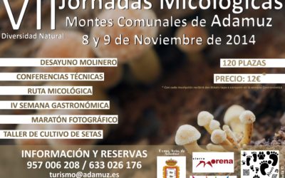 Jornadas Micológicas en Montes Comunales