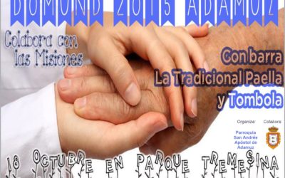 DOMUND 2015
