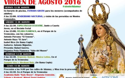 VIRGEN DE AGOSTO 2016