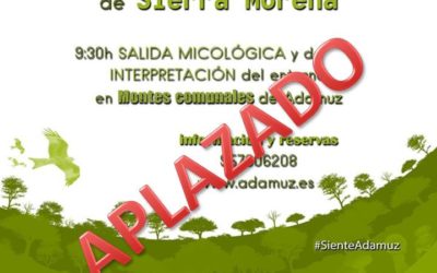 I JORNADAS POR LA BIODIVERSIDAD DE SIERRA MORENA. APLAZADO.