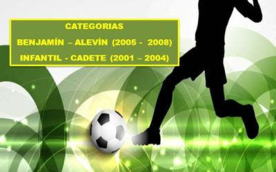 Liga local de fútbol 7 infantil.