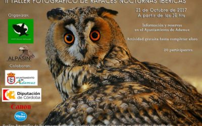 II TALLER FOTOGRÁFICO DE RAPACES NOCTURNAS IBÉRICAS