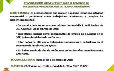 CONVOCATORIA DE SUBVENCIONES PARA EL FOMENTO DE INICIATIVAS EMPRENDEDORAS DE TRABAJO AUTÓNOMO