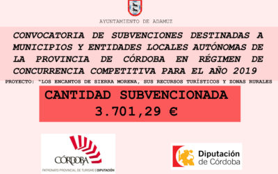 Convocatoria de Subvenciones destinadas a municipios y entidades locales autónomas de la provincia de Córdoba en régimen de concurrencia competitiva para el año 2019
