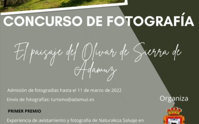 Bases Concurso «El Paisaje del Olivar de Sierra en Adamuz»