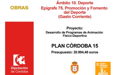 PLAN CORDOBA 15. Desarrollo de programas de animación físico-deportiva