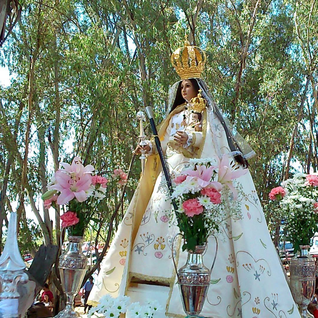 Romería Virgen del Sol Adamuz - Córdoba