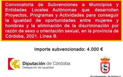 Convocatoria de Subvenciones a Municipios y Entidades Locales Autónomas que desarrollen Proyectos, Programas y Actividades para conseguir la igualdad de oportunidades entre mujeres y hombres y la eliminación de la discriminación por razón de sexo u orientación sexual, en la provincia de Córdoba, 2021. Línea B